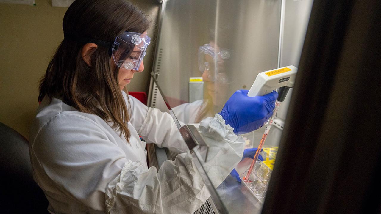 Woman in lab coat and safety equipment, performing work in biosafety cabinet in front of her.