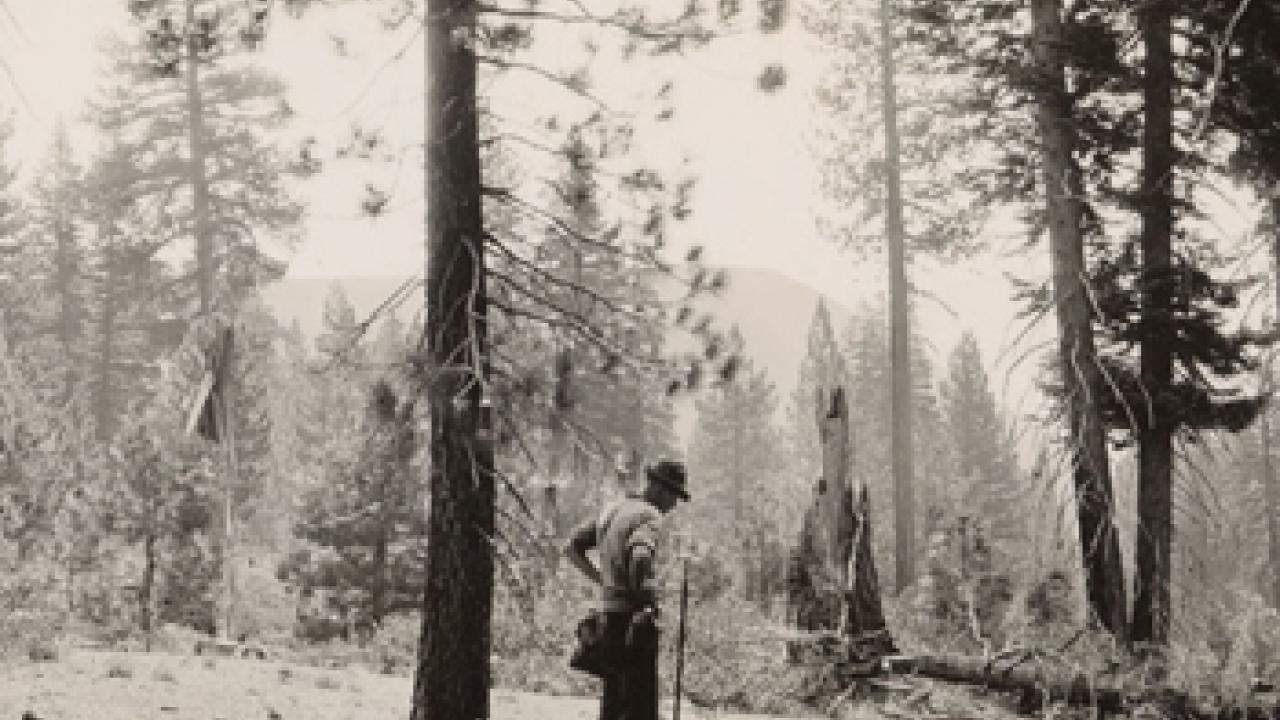 Photo: old photo of man in hat in forest