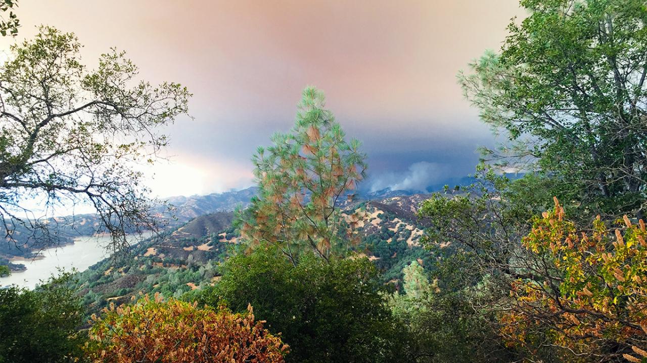 The County Fire as seen from Quail Ridge.
