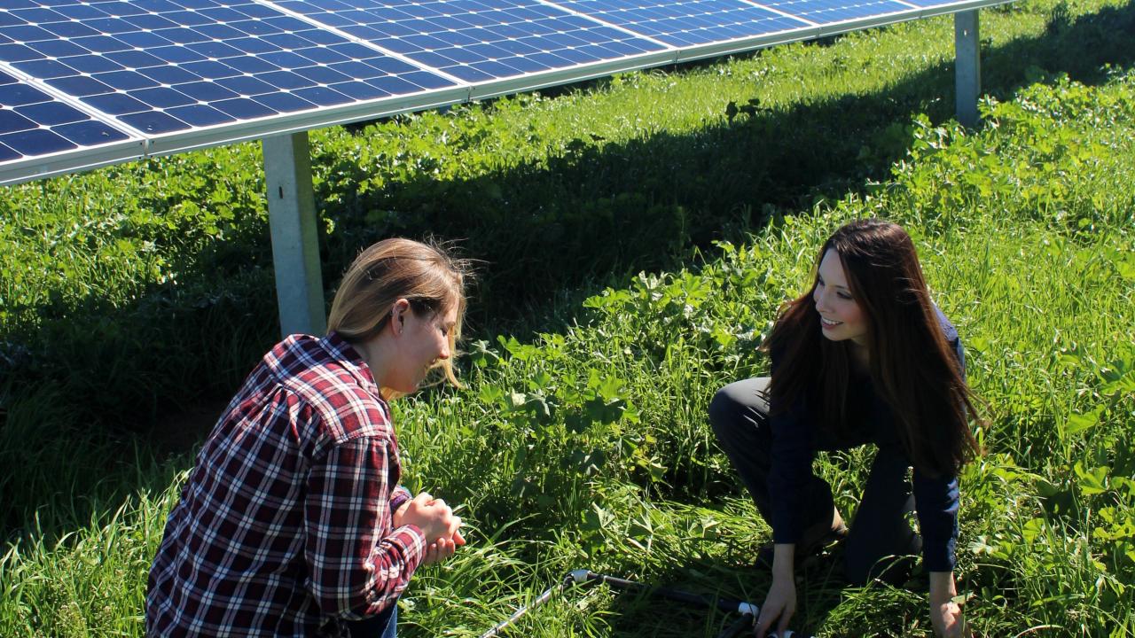 two women, solar panels