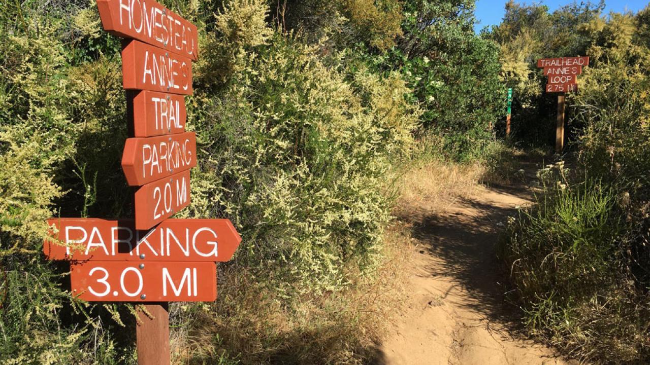 Trail signs at Stebbins Cold Canyon Reserve