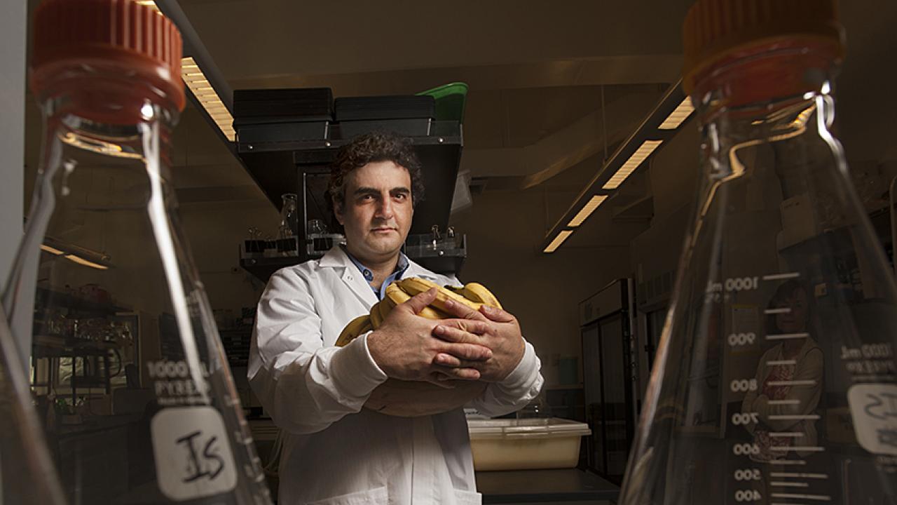 Man in white lab coat holding bowl of bananas stands in laboratory.