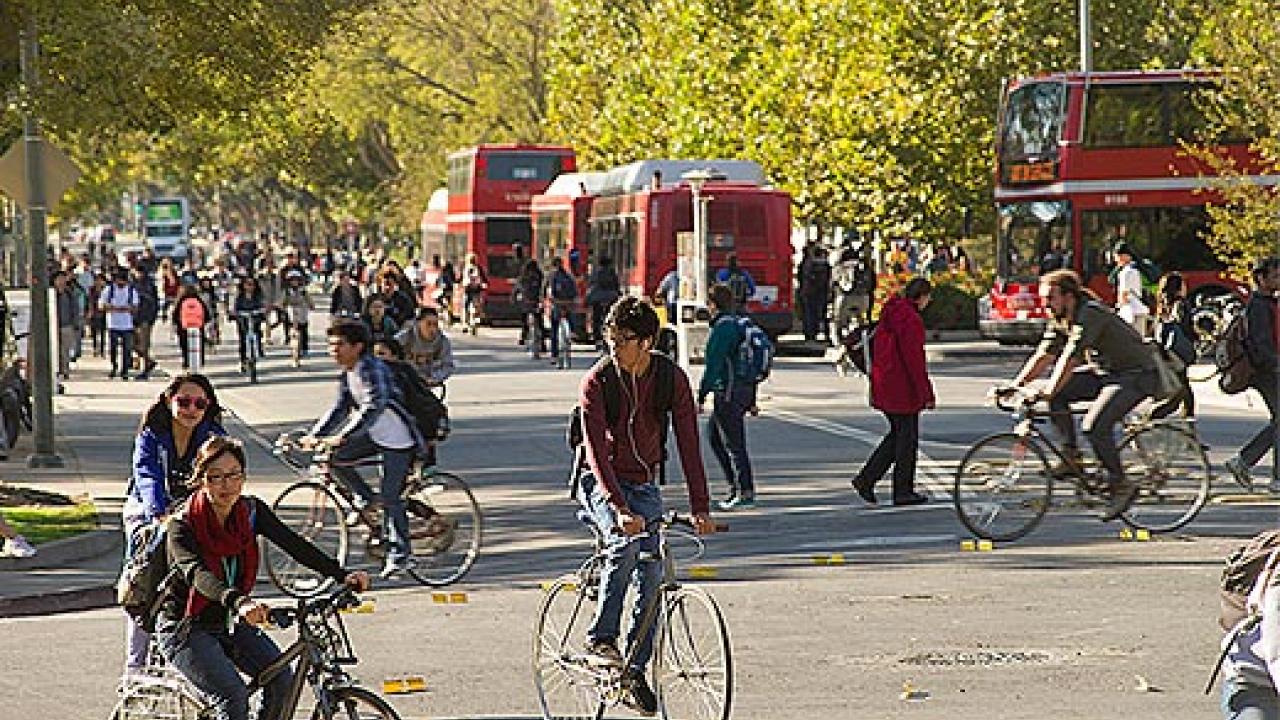 Scene at the UC Davis campus street with many bikes and double-decker buses in the background