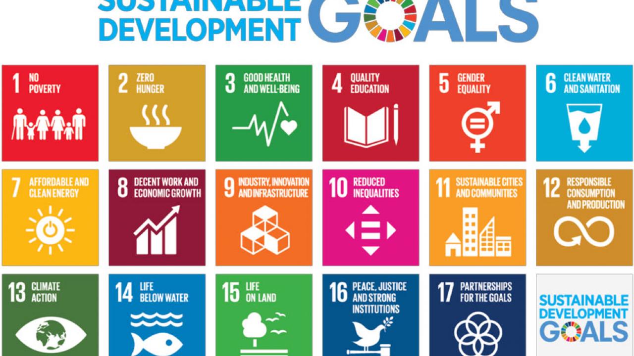UN Sustainable Development Goals (chart)