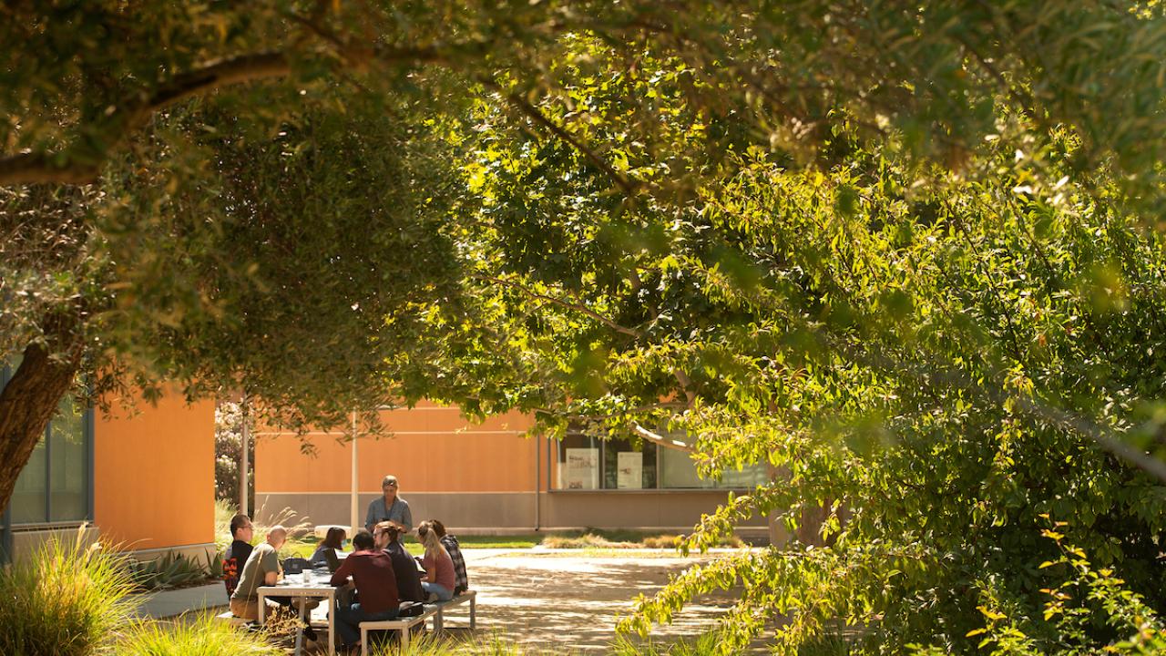 Students sit at bench near Robert Mondavi Institute on a sunny day.