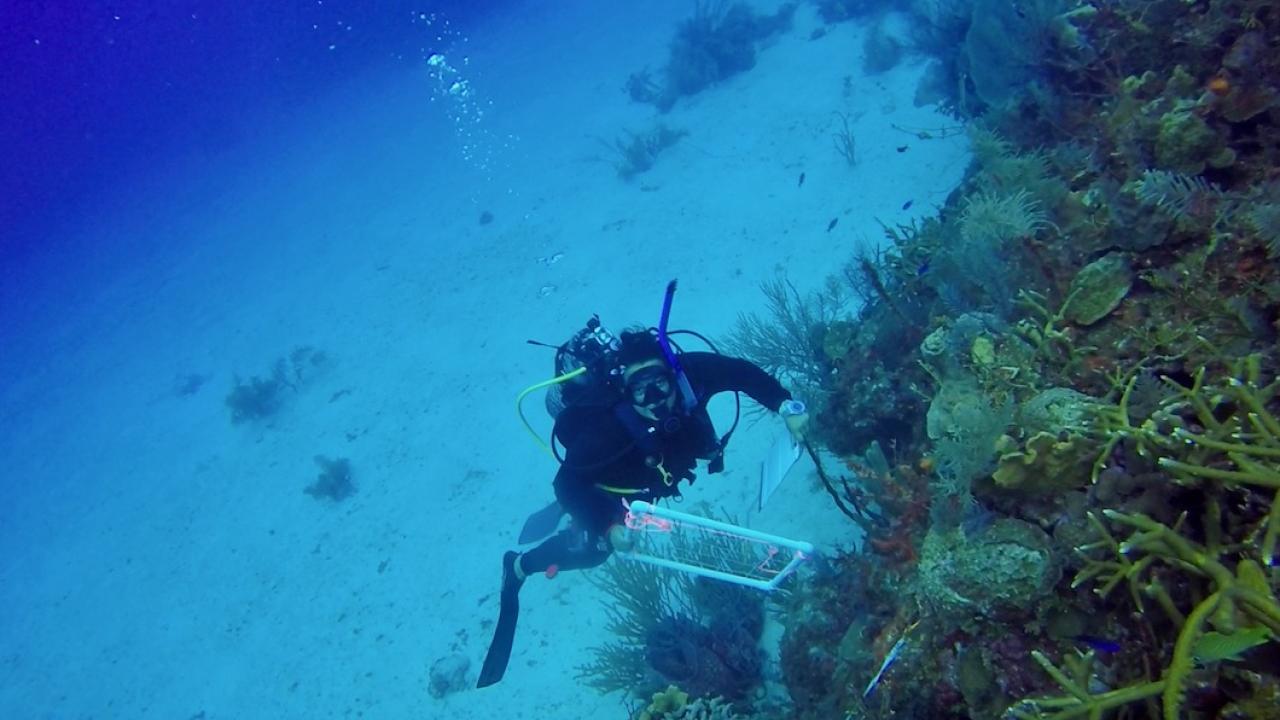 Woman diving with coral looks up from sea floor at camera