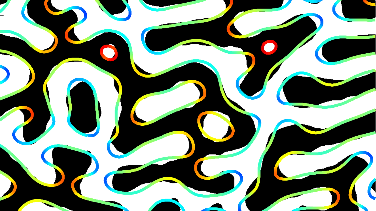 Squiggly black lines, outlined with color, against a white background. 