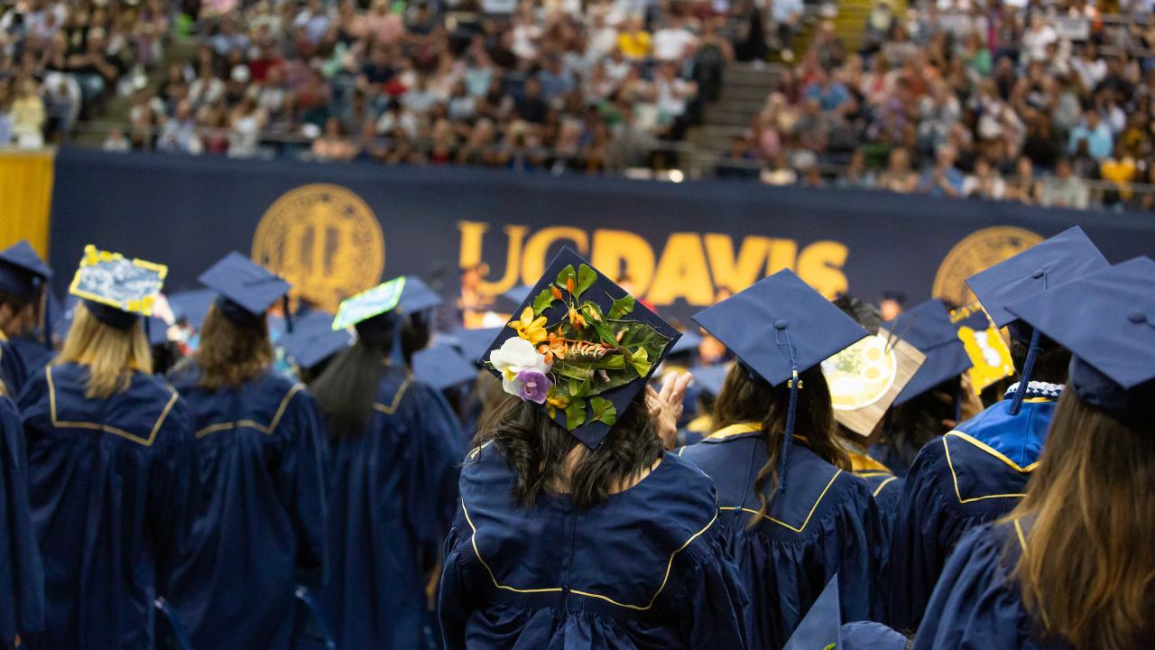 Uc Davis Graduation 2024 - Janka Melisenda