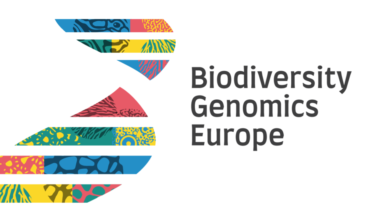 Logo with stylized DNA helix on the left and the words Biodiversity Genomics Europe on right. 