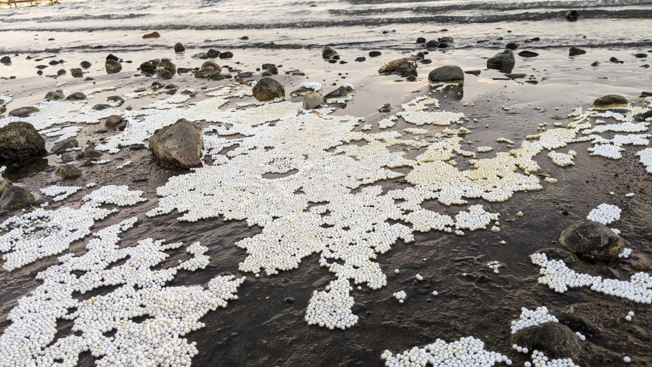 Thousands of microbead pellets from a ripped pool toy scatter across the surface of Lake Tahoe in July 2021.
