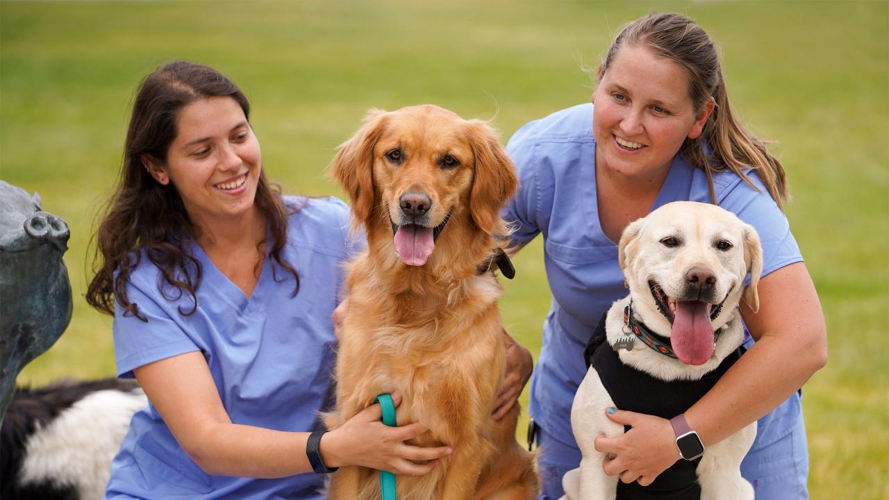 Two veterinary students in blue scrubs smiling and posing with a golden retriever and a Labrador retriever on a grassy field outside Scrubs Cafe, UC Davis.