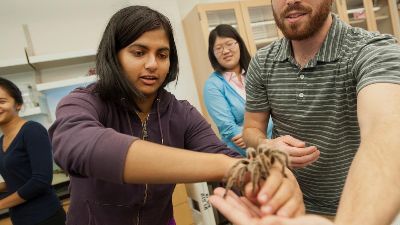 A female student lets a large tarantula crawl onto her arm.