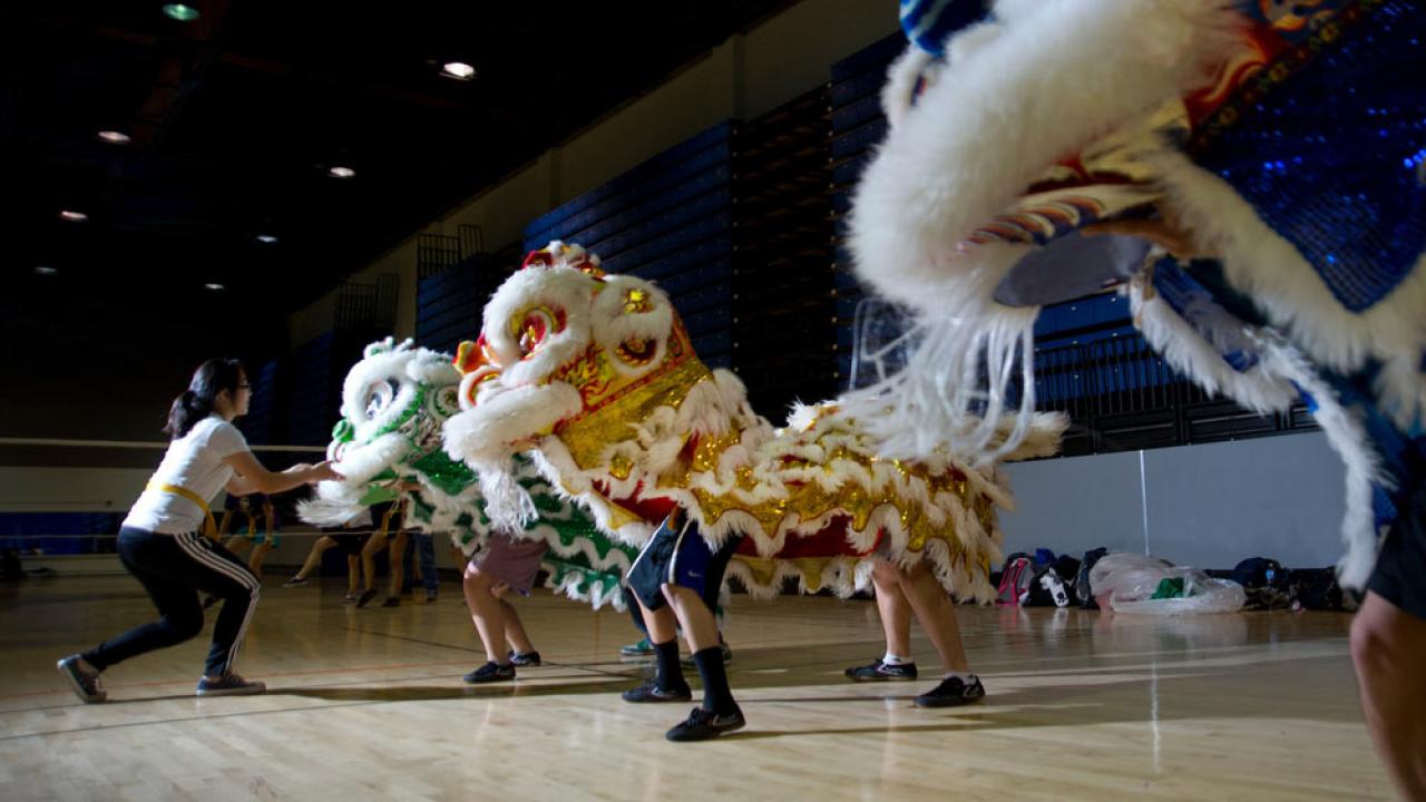 Students practice in the dancing lion dance club at UC Davis