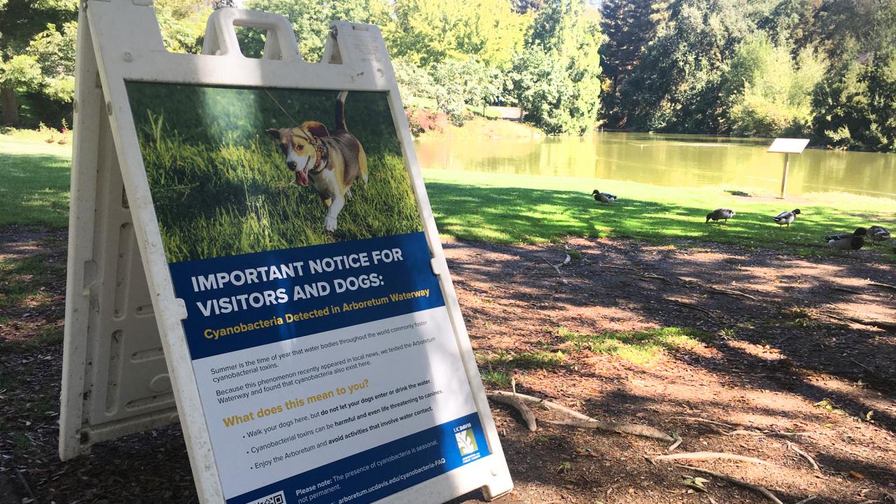 Warning sign, to keep dogs clear of water, along Arboretum Waterway