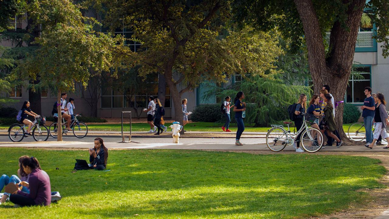 uc davis schedule builder