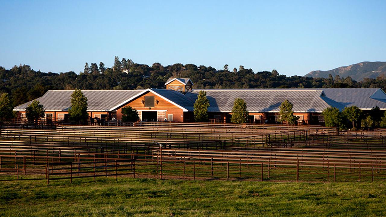 Photo of the main red horse barn at Templeton farms