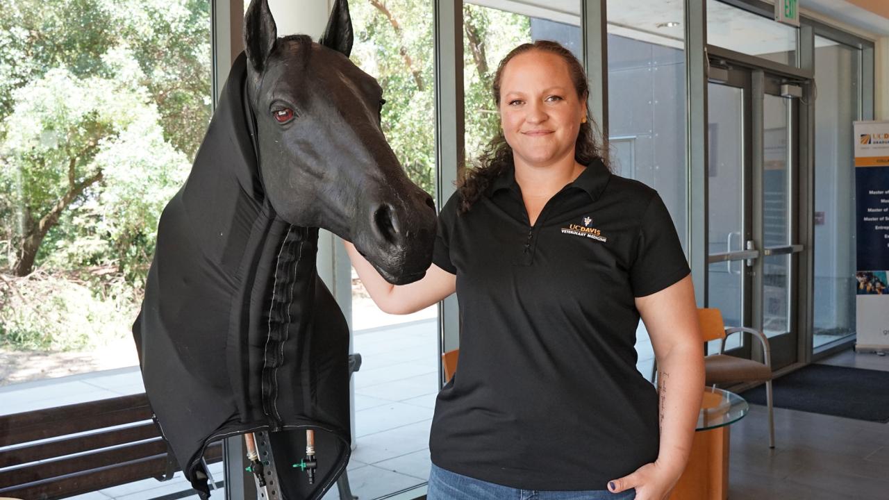 A model of a horse and a woman in blue UC Davis shirt stand in front of a window