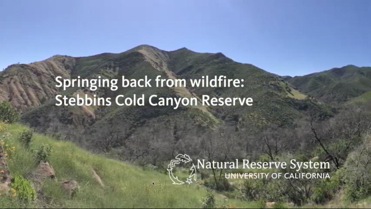 Title card: "Spring Back from Wildfire"