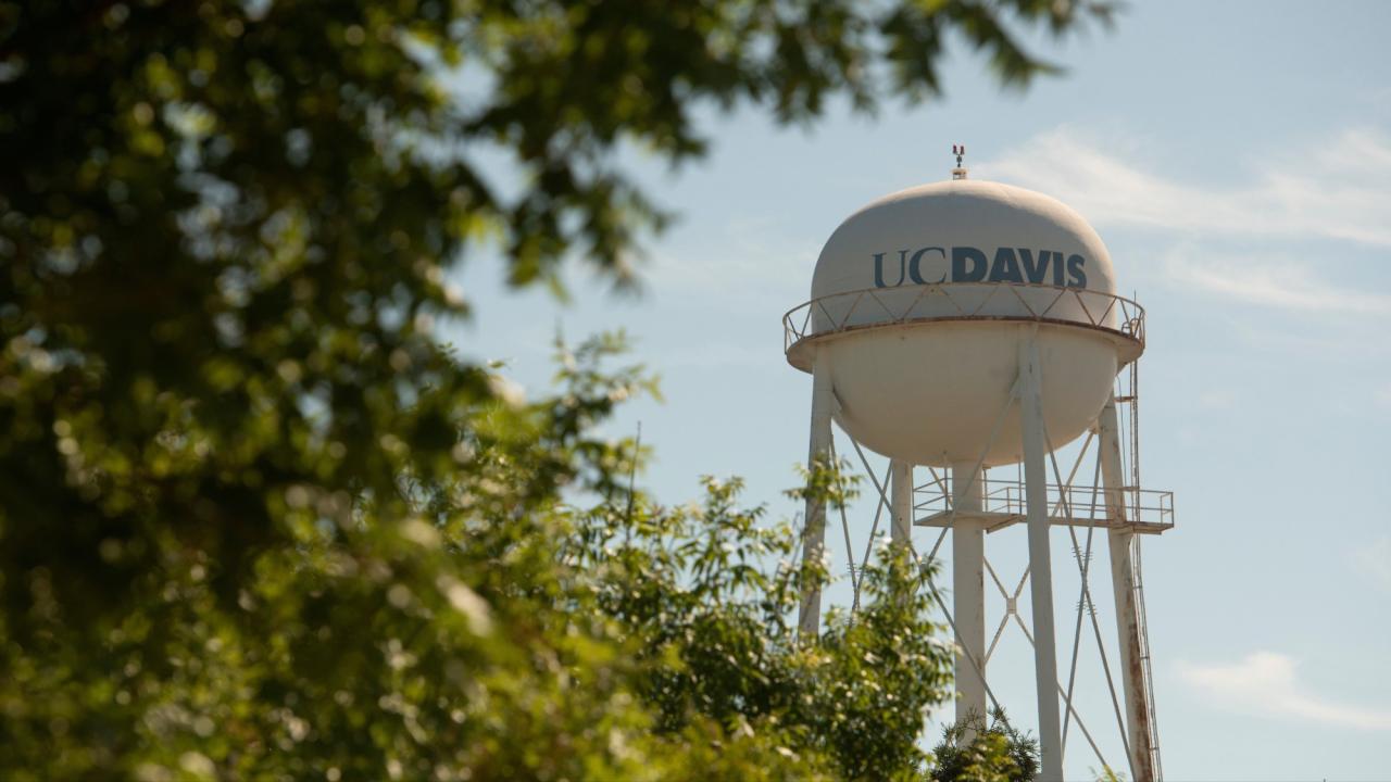 UC Davis water tower wtih leafy trees in the foreground