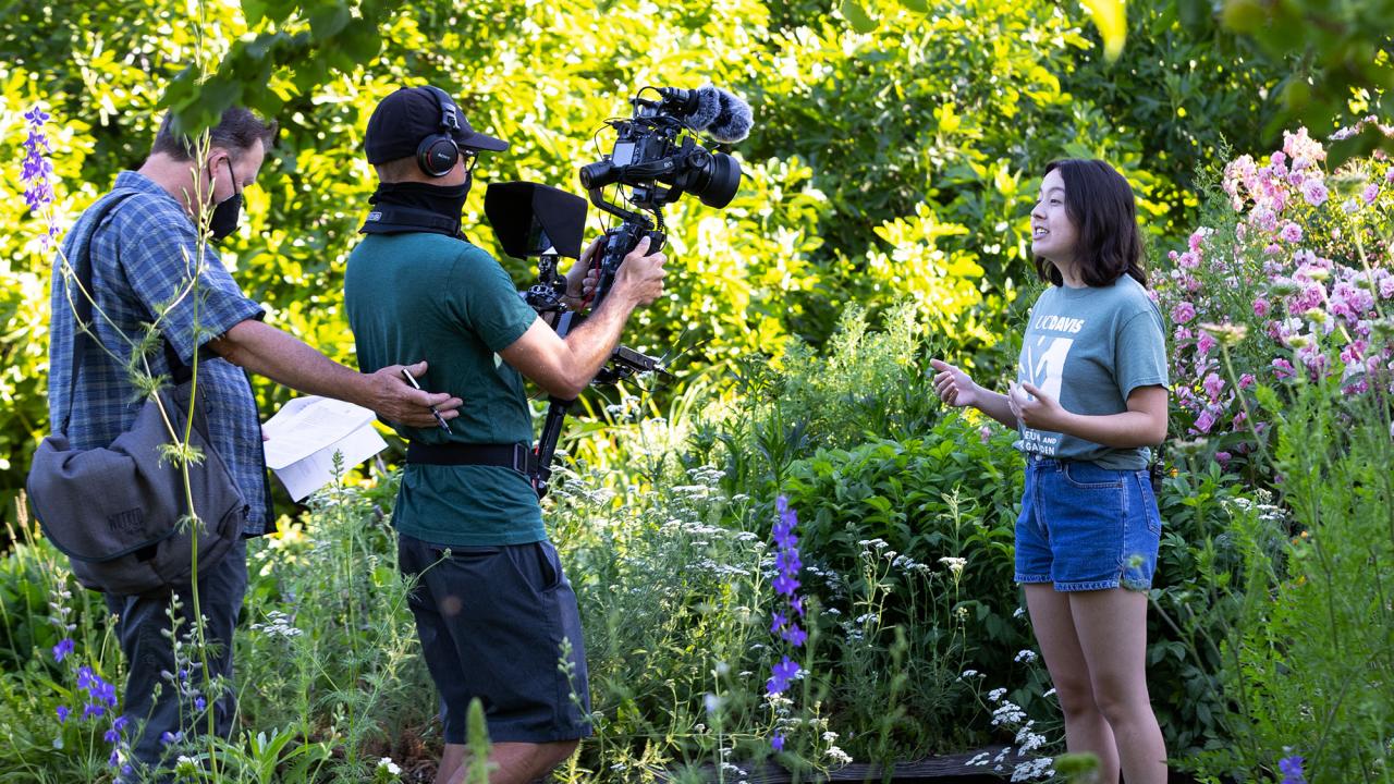 A female student talks to a camera operator and another crew member filming her in the UC Davis Arboretumcamerman and other crew member film a female student in the arboretum