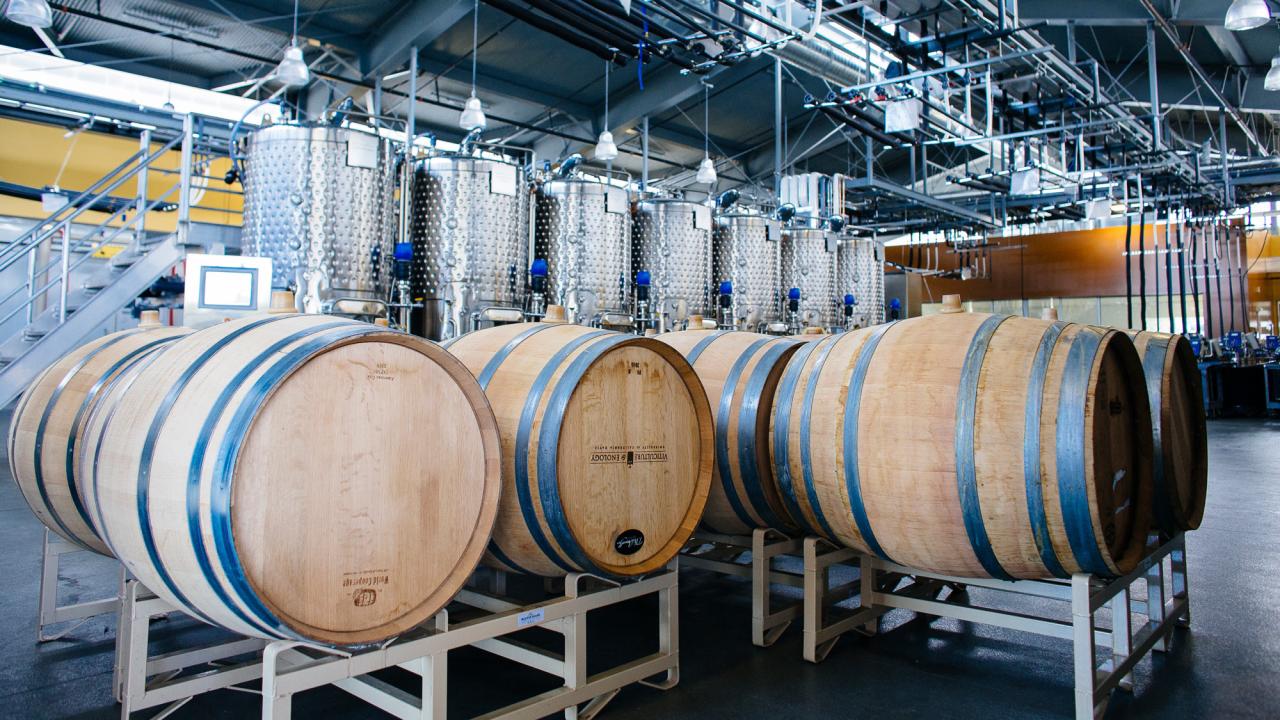 Winery, stainless steel tanks in back, barrels in front