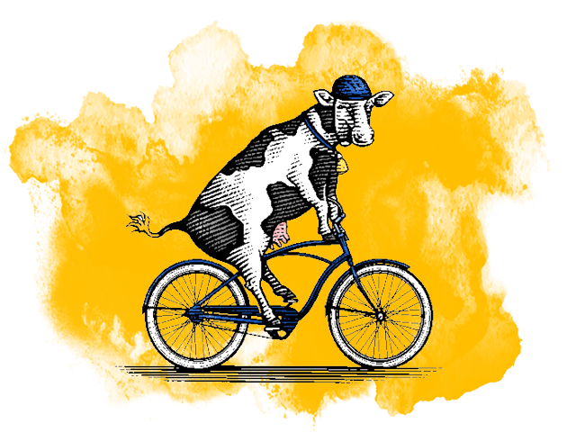 An illustrated cow rides a bicycle