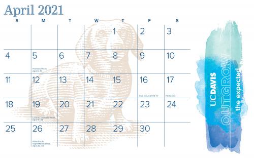 Campus calendar, monthly version (April), with dachshound