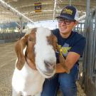 Animal science major Jackson Sawyer with a goat at the State Fair