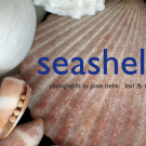 Book cover: "Seashells," showing seashells
