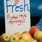 A handwritten sign in a box of apples reads "So Fresh, Picked This Morning"