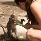 Photo of a small monkey approaching a woman for food on an urban street