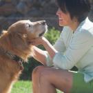 Woman and golden retriever gaze lovingly at each other