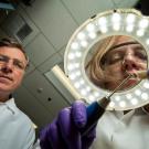 Scientists examine tooth through ring light.