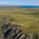 greening tundra aerial shot