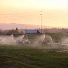 Sprinklers watering agricultural land with a truck in the background