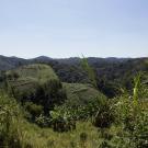 Bwindi Impenetrable Forest in Uganda, landscape