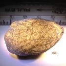 Meteorite lit from below with ruler showing size