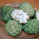 Photo: plate full of cherimoya fruit with a few split open