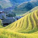 A hillside farm in China