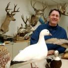 Andy Engilis shows off a few of the thousands of bird, fish and mammal specimens housed in the Museum of Wildlife and Fish Biology, located on the first floor of Academic Surge. Founded in 1972, the museum is used as a lab by students at UC Davi