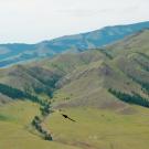 Mountains of Mongolia