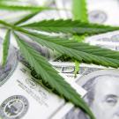 cannabis and money