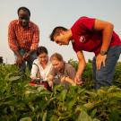 Faculty member and students in agricultural field