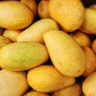 photo of honey mangoes