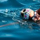 Woman swims the crawl stroke in crystal-blue Lake Tahoe.