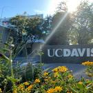 Concrete sign with UC Davis logo