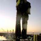 photo: heavy net hangs near dock in harbor
