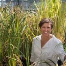 Photo of Pam Ronald in rice field