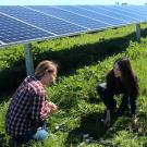 two women, solar panels