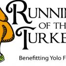 Graphic: Running of the Turkeys logo, with headless turkey in running shoes